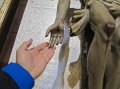 IMG_0999.jpeg