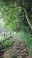 IMG-20180428-WA0009.jpg