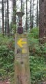 IMG-20180502-WA0003.jpg