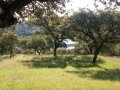 IMG_20180503_093942.jpg