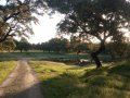 IMG_20180504_081150.jpg