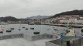 IMG-20180505-WA0002.jpg