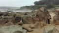 IMG-20180508-WA0017.jpg
