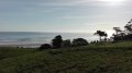 IMG_20180511_085315.jpg