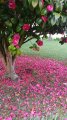20180422_182446.jpg