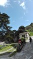 IMG_20180512_113045.jpg