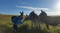 20180514_083825.jpg