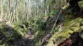 IMG-20180517-WA0014.jpg