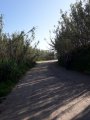 20180520_094322.jpg