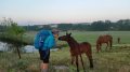 20180519_072951.jpg