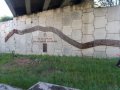 IMG_20180521_095114.jpg