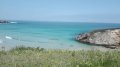 IMG-20180521-WA0049.jpg
