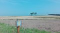 IMG-20180521-WA0050.jpg