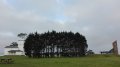 IMG-20180522-WA0009.jpg