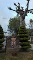 IMG-20180522-WA0010.jpg