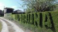 IMG-20180522-WA0011.jpg