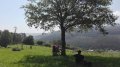 IMG-20180522-WA0013.jpg