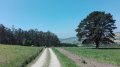 IMG-20180522-WA0015.jpg