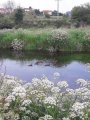20180523_104100.jpg