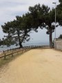 20180523_144139.jpg