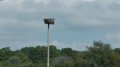 IMG_20180524_120516.jpg