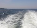 20180524_121139.jpg