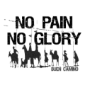 no-pain-no-glory-buen-camino.png