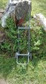 IMG-20180528-WA0019.jpg