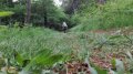 IMG-20180530-WA0029.jpg