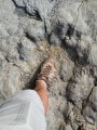 IMG_1422-21-06-18-10-28.JPG