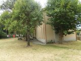 DSCF0330 (Copia).JPG