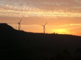 3 bis alba en Olveiroa.JPG