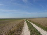 rd_DSCN0487.JPG