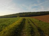 rd_DSCN1138.JPG