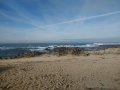 IMG_20181222_101345712.jpg