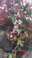 20190302_094815.jpg