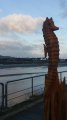 20190305_084312.jpg