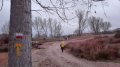 IMG_20190405_075444.jpg