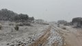 IMG_20190405_141727.jpg