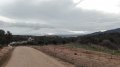 IMG_20190406_094231.jpg