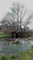 IMG_20190406_163210.jpg