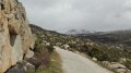 IMG_20190406_123401.jpg