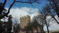 IMG_20190407_115331.jpg