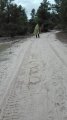 IMG_20190408_141705.jpg