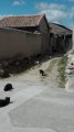 IMG_20190408_154034.jpg