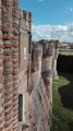 IMG_20190409_173548.jpg