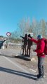 IMG_20190412_094015.jpg