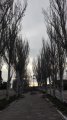 IMG-20190416-WA0017.jpg