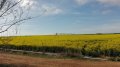IMG-20190416-WA0008.jpg