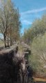 IMG-20190416-WA0002.jpg